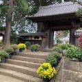 実際訪問したユーザーが直接撮影して投稿した久野寺総世寺の写真