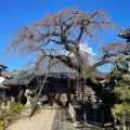 実際訪問したユーザーが直接撮影して投稿した犬山寺圓明寺の写真