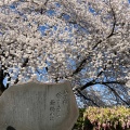 実際訪問したユーザーが直接撮影して投稿した天童公園舞鶴公園の写真