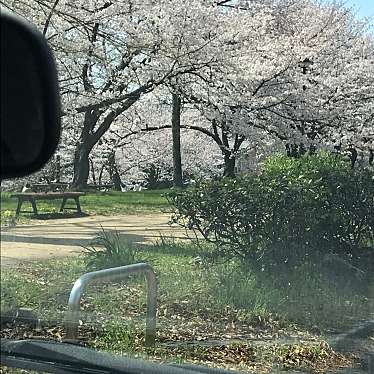 石手川緑地のundefinedに実際訪問訪問したユーザーunknownさんが新しく投稿した新着口コミの写真