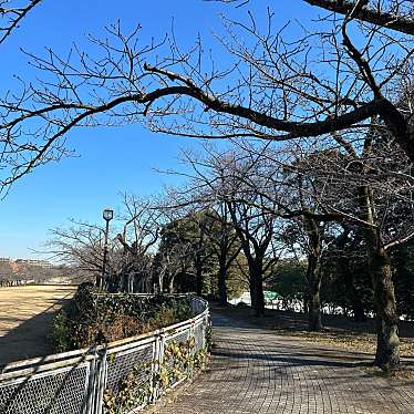 実際訪問したユーザーが直接撮影して投稿した鶴牧公園奈良原公園の写真