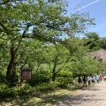 実際訪問したユーザーが直接撮影して投稿した一番丁公園和歌山城公園の写真
