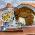 ヒレカツカレー - 実際訪問したユーザーが直接撮影して投稿した柳戸学食 / 職員食堂岐阜大学消費生活協同組合第1食堂の写真のメニュー情報