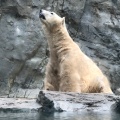 実際訪問したユーザーが直接撮影して投稿した戸賀塩浜水族館 / アクアリウム男鹿水族館GAOの写真