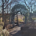 実際訪問したユーザーが直接撮影して投稿したもくせいの杜庭園昭和記念公園ハーブ園の写真