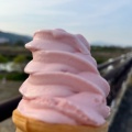 実際訪問したユーザーが直接撮影して投稿した八幡在応寺その他飲食店さくらであい館の写真