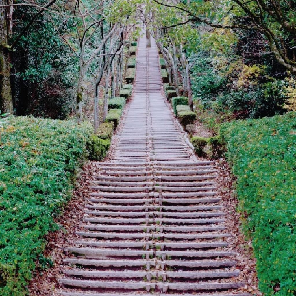 実際訪問したユーザーが直接撮影して投稿した横尾公園高尾山自然公園の写真