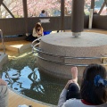実際訪問したユーザーが直接撮影して投稿した笹原温泉さくらの足湯処の写真