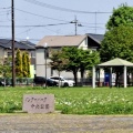 実際訪問したユーザーが直接撮影して投稿したインターパーク公園インターパーク中央公園の写真