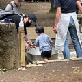 実際訪問したユーザーが直接撮影して投稿した代田公園羽根木公園の写真