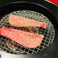 スタンダードコース - 実際訪問したユーザーが直接撮影して投稿した新横浜焼肉焼肉トラジ 新横浜店の写真のメニュー情報