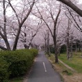 実際訪問したユーザーが直接撮影して投稿した岩田町公園岩田運動公園の写真