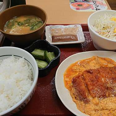 実際訪問したユーザーが直接撮影して投稿した下町丼ものなか卯 西尾店の写真