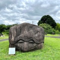 実際訪問したユーザーが直接撮影して投稿した川原岩亀石の写真