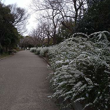 岸和田市中央公園のundefinedに実際訪問訪問したユーザーunknownさんが新しく投稿した新着口コミの写真