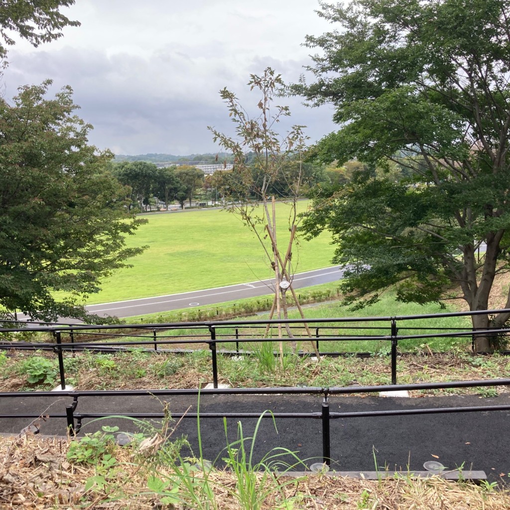 実際訪問したユーザーが直接撮影して投稿した下小山田町公園忠生スポーツ公園の写真