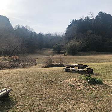 実際訪問したユーザーが直接撮影して投稿した矢田町公園矢田山遊びの森の写真