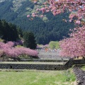 実際訪問したユーザーが直接撮影して投稿した南濃町羽沢公園羽根谷だんだん公園の写真