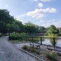 実際訪問したユーザーが直接撮影して投稿した三の丸公園名城公園の写真