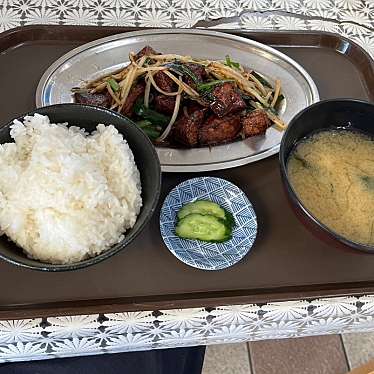 実際訪問したユーザーが直接撮影して投稿した岩城内道川ラーメン / つけ麺献の家の写真