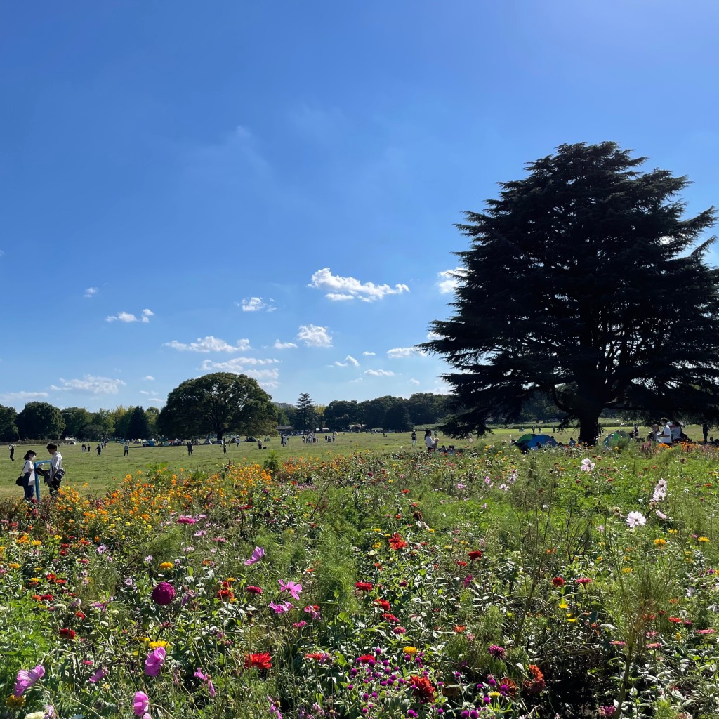 ぐれいしすさんが投稿した緑町公園のお店国営昭和記念公園/コクエイショウワキネンコウエンの写真