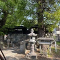 実際訪問したユーザーが直接撮影して投稿した平出町神社白山神社の写真