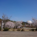 実際訪問したユーザーが直接撮影して投稿した福井公園総社北公園の写真