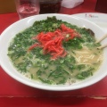 実際訪問したユーザーが直接撮影して投稿した汐見町ラーメン / つけ麺長浜ラーメン 別府店の写真