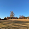 実際訪問したユーザーが直接撮影して投稿した鞍掛公園東御中央公園の写真