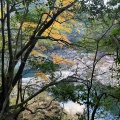 実際訪問したユーザーが直接撮影して投稿した阿東徳佐中滝 / 渓谷長門峡の写真