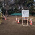 実際訪問したユーザーが直接撮影して投稿した西小仙波町公園喜多院公園の写真