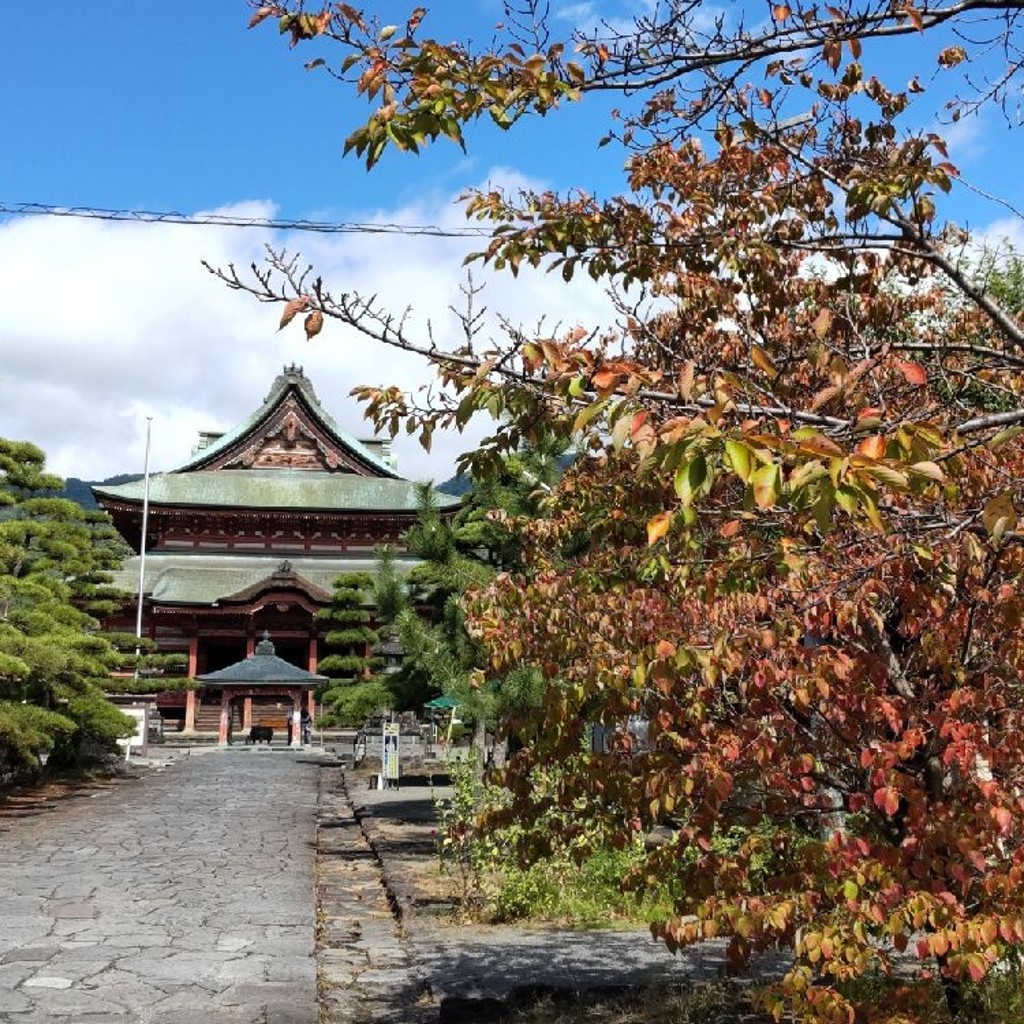 実際訪問したユーザーが直接撮影して投稿した善光寺寺甲斐 善光寺の写真