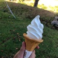 美山牛乳ソフトクリーム - 実際訪問したユーザーが直接撮影して投稿した日吉町中カレーレストラン桂川の写真のメニュー情報