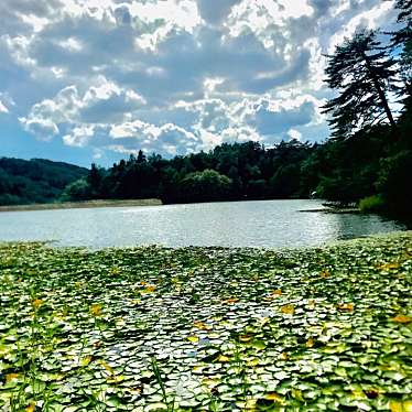 実際訪問したユーザーが直接撮影して投稿した内町公園大平森林公園の写真