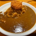 実際訪問したユーザーが直接撮影して投稿した木月カレーカレー専門店 パピー 元住吉駅前店の写真