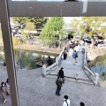 実際訪問したユーザーが直接撮影して投稿した中央博物館倉敷考古館の写真