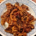 実際訪問したユーザーが直接撮影して投稿した北島牛丼焼肉丼・旨辛うどん すみのえ食堂の写真