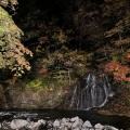 実際訪問したユーザーが直接撮影して投稿した南中野山 / 峠中野もみじ山の写真