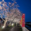 実際訪問したユーザーが直接撮影して投稿した稲葉車瀬河川竜田川の写真