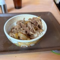 牛丼並 - 実際訪問したユーザーが直接撮影して投稿した中宮東之町牛丼すき家 枚方中宮東之町店の写真のメニュー情報