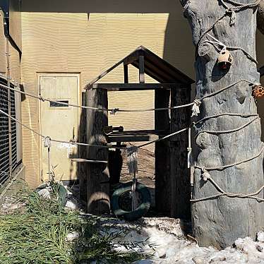 実際訪問したユーザーが直接撮影して投稿した東旭川町倉沼動物園レッサーパンダ舎の写真