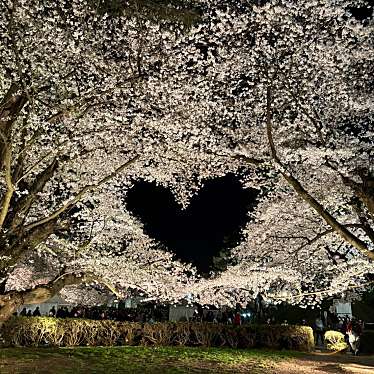 合浦公園のundefinedに実際訪問訪問したユーザーunknownさんが新しく投稿した新着口コミの写真