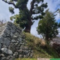 実際訪問したユーザーが直接撮影して投稿した田丸城 / 城跡田丸城跡の写真