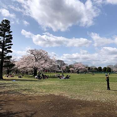 実際訪問したユーザーが直接撮影して投稿した八幡町公園武蔵野中央公園の写真