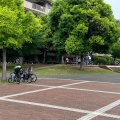 実際訪問したユーザーが直接撮影して投稿した江ケ崎町公園新鶴見公園の写真