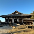 実際訪問したユーザーが直接撮影して投稿した雑司町地域名所東大寺法華堂 (三月堂)の写真