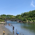 実際訪問したユーザーが直接撮影して投稿した勝島公園しながわ区民公園の写真