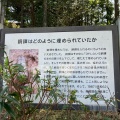 実際訪問したユーザーが直接撮影して投稿した細江町中川公園どうたく公園の写真