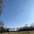 実際訪問したユーザーが直接撮影して投稿した八幡町公園武蔵野中央公園の写真