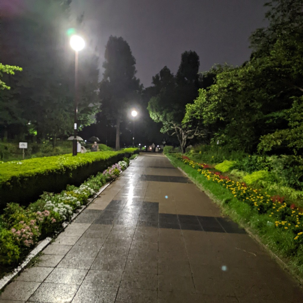 実際訪問したユーザーが直接撮影して投稿した泉町公園武蔵国分寺公園サービスセンターの写真